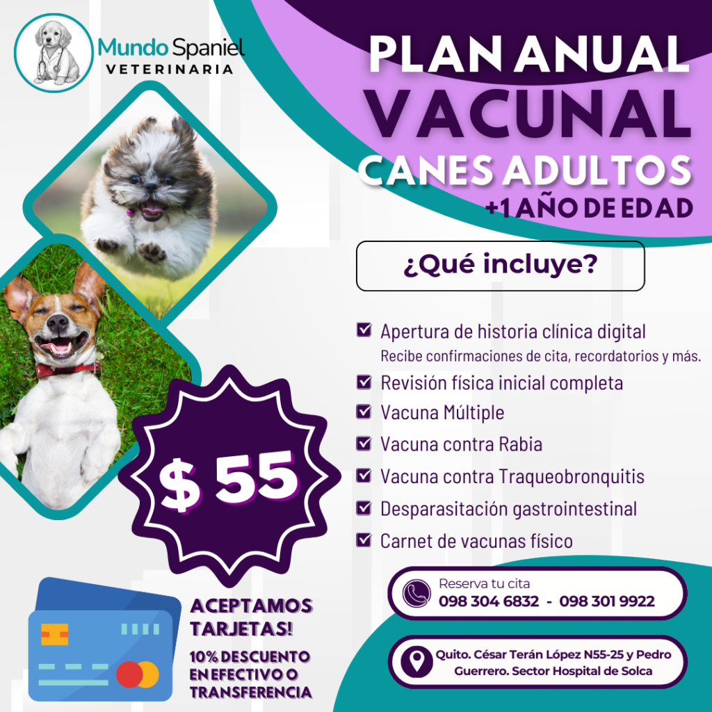 vacunas para perros Quito