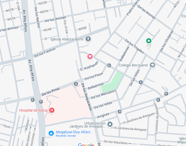 MUNDO SPANIEL VETERINARIA