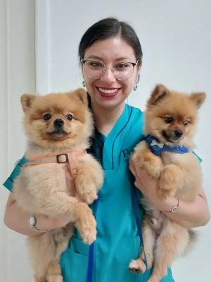 Desparasitacion de perros en Quito