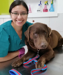 Veterinaria a Domicilio en Quito Norte