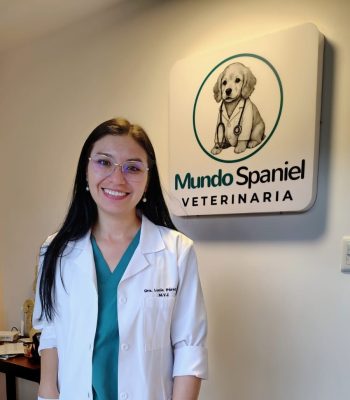Veterinaria a domicilio en Quito